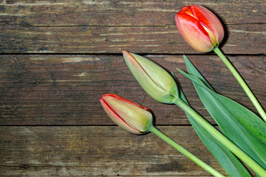 Similar image 11146681