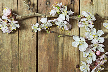 Similar image 11146687