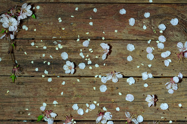 Similar image 11146688