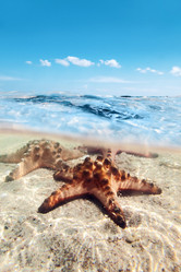 Similar image 11280407