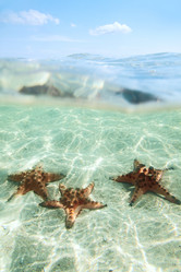 Similar image 11280408