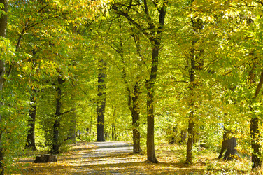 Similar image 11146985