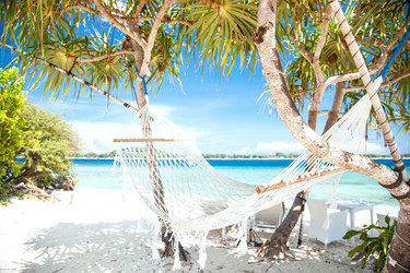 Similar image 11280416