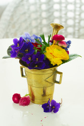 Similar image 11279824