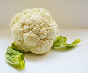 Similar image 11143121