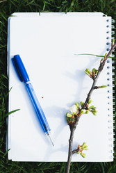 Similar image 11147024