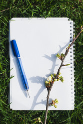 Similar image 11147025