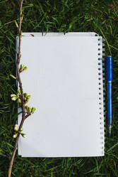 Similar image 11147027