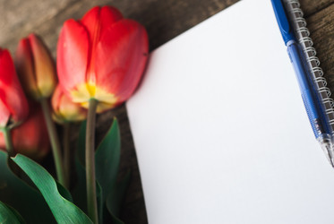 Similar image 11147028