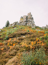 Similar image 11147278