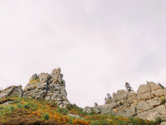 Similar image 11147279