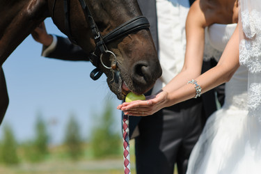 Similar image 11143335