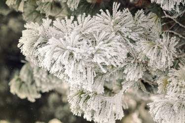 Similar image 11143293