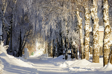 Similar image 11143295