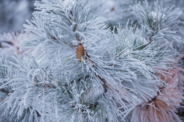 Similar image 11144183