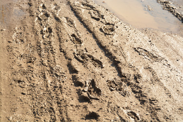 Similar image 11148153