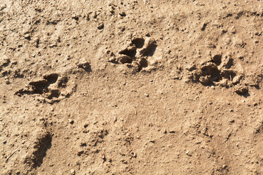 Similar image 11148155