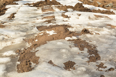 Similar image 11148158