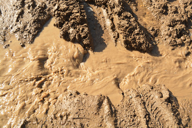 Similar image 11148163