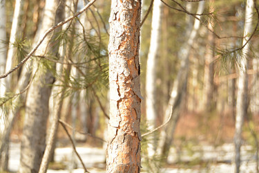 Similar image 11148165