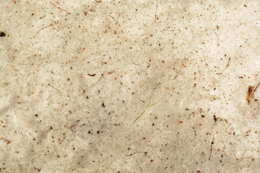 Similar image 11148199