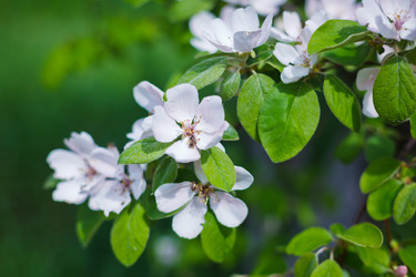 Similar image 11144204