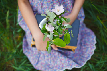 Similar image 11144206