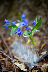 Similar image 11144207