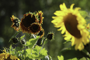 Similar image 11143652