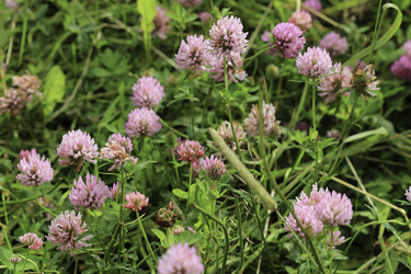 Similar image 11143653