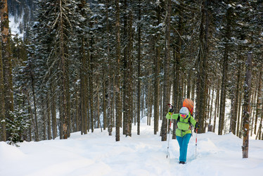 Similar image 11302505