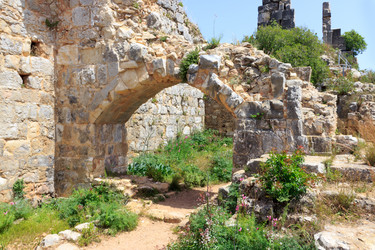 Similar image 11146135