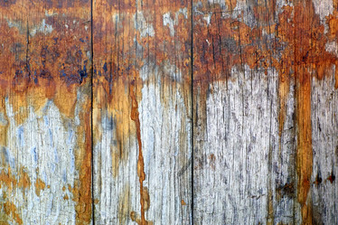 Similar image 11147635