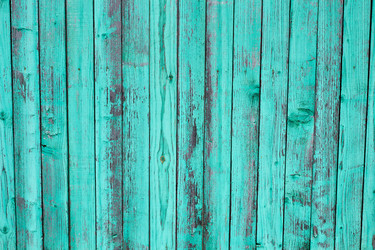 Similar image 11147638