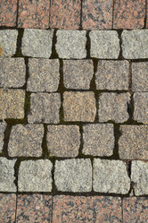 Similar image 11169561