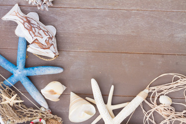 Similar image 11279895