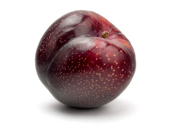 Similar image 11146754