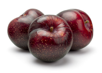 Similar image 11146756