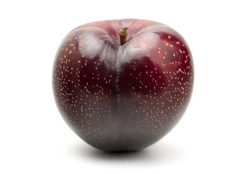 Similar image 11146757