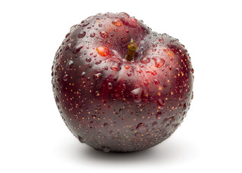 Similar image 11146773