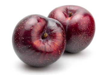 Similar image 11146774