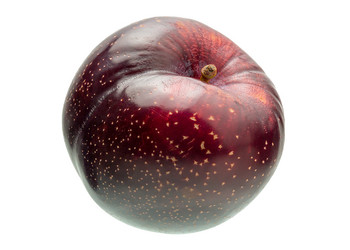 Similar image 11146775