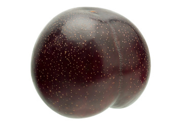 Similar image 11146776