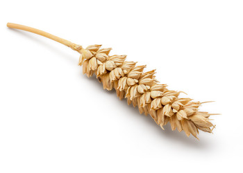 Similar image 11146791