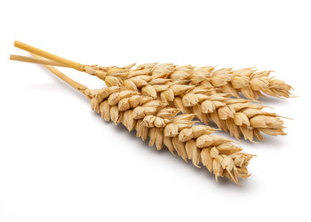 Similar image 11146793