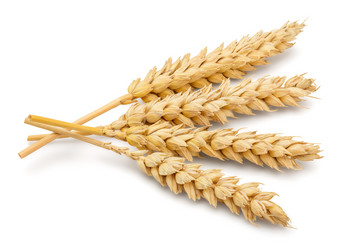 Similar image 11146794