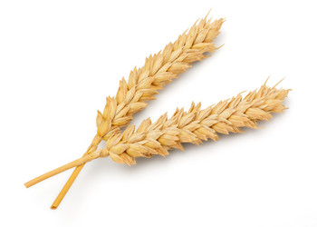 Similar image 11146796