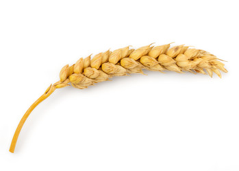 Similar image 11146798