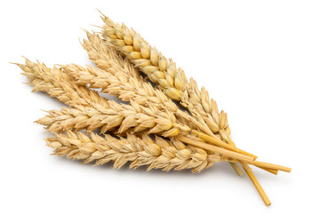 Similar image 11146800