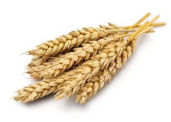 Similar image 11146828